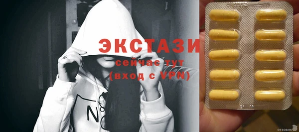 ECSTASY Богородицк